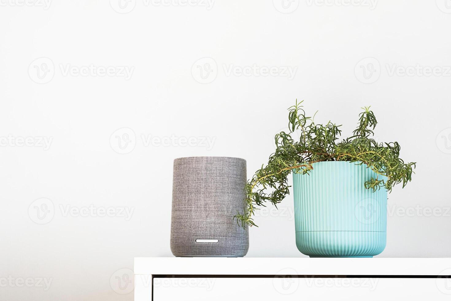 Smart speaker and houseplant in white home setting. Contemporary living concepts. photo
