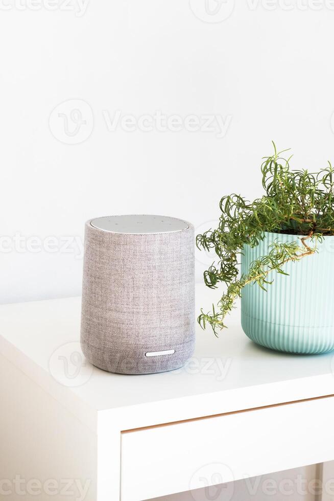 Smart speaker and houseplant in white home setting. Contemporary living concepts. photo