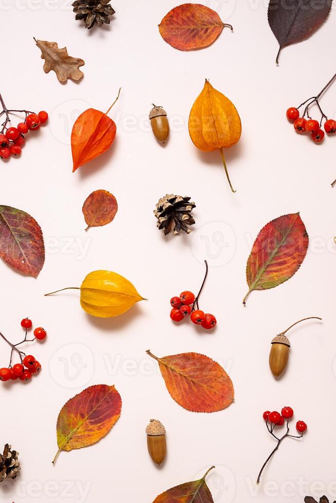 Colorful autumn leaves and natural elements creating a seasonal aesthetic. photo