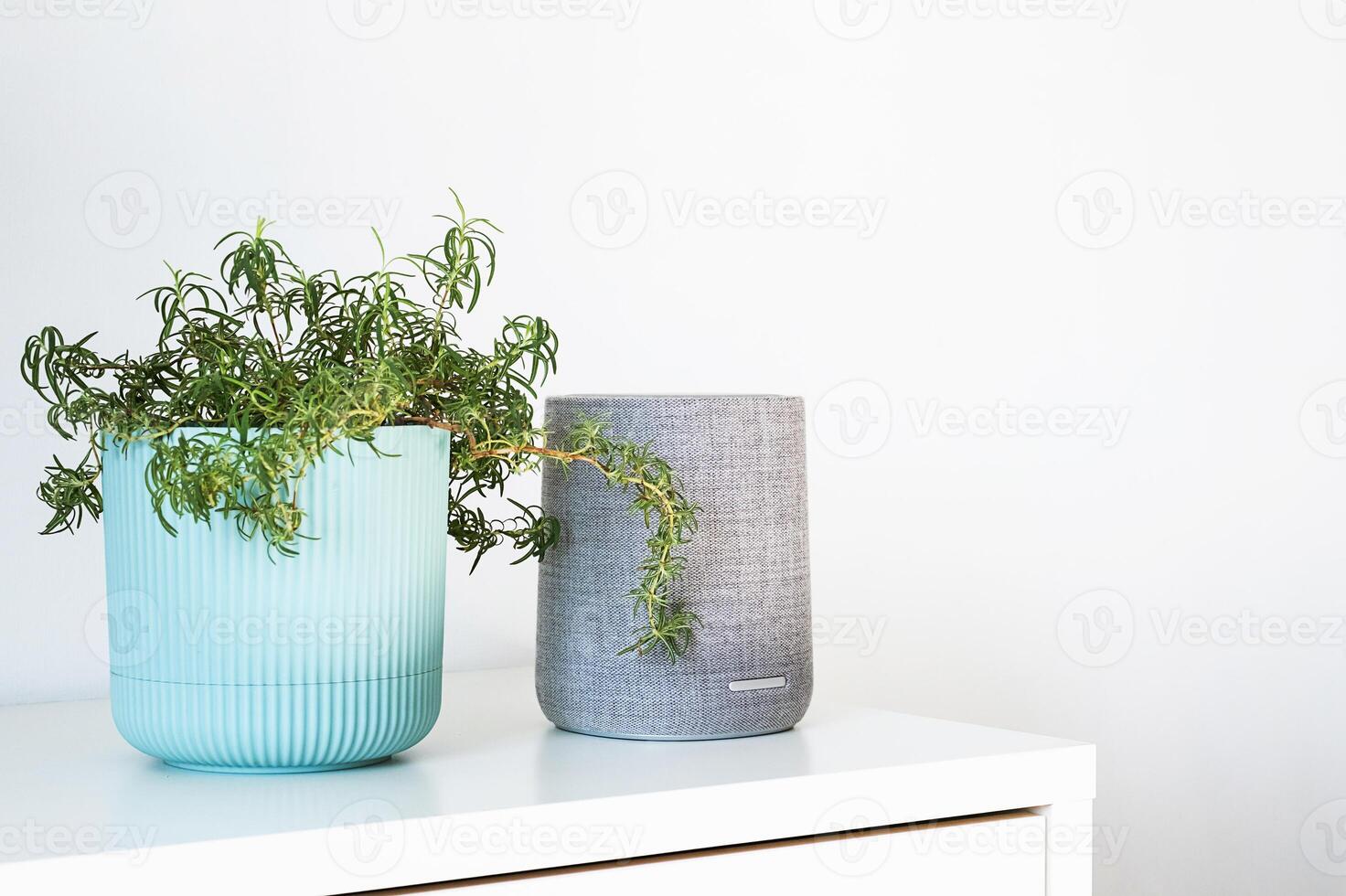 Smart speaker and houseplant in white home setting. Contemporary living concepts. photo