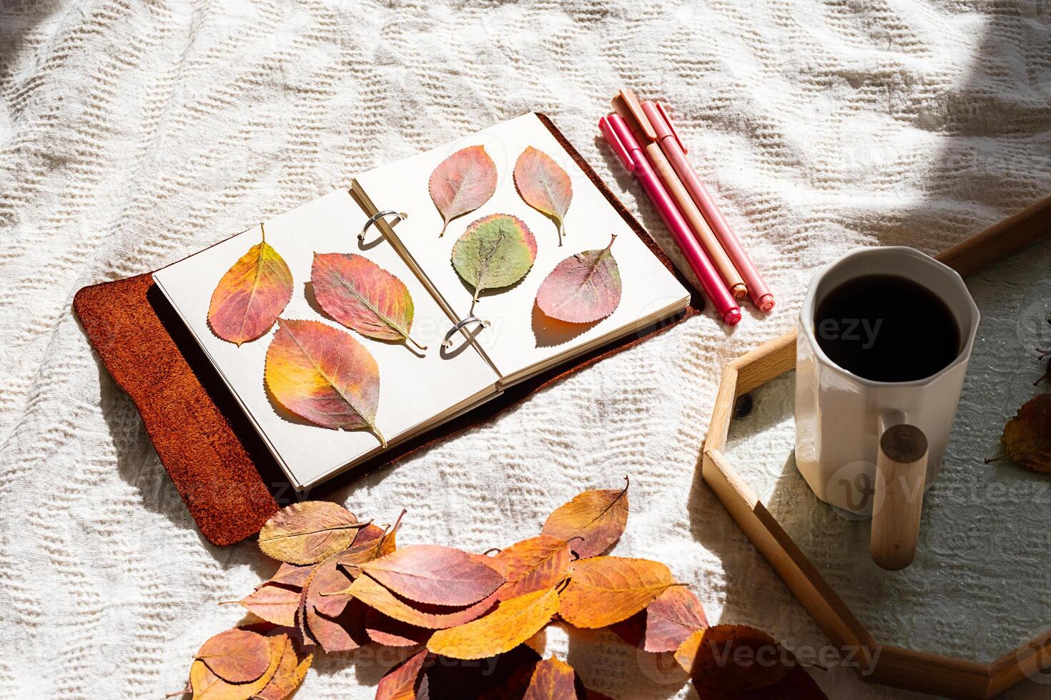 Autumn leaves arranged in notebook. Nature journaling and fall concept. photo