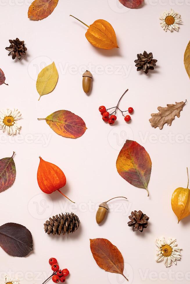 Colorful autumn leaves and natural elements creating a seasonal aesthetic. photo