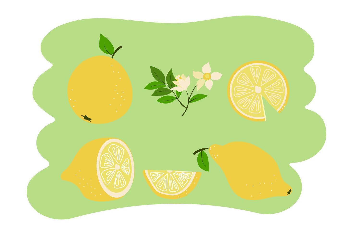 Set of lemons. Fruits, citrus. Whole and slices. Lemon leaf and flower. Flat illustration. Colored background, isolated. vector