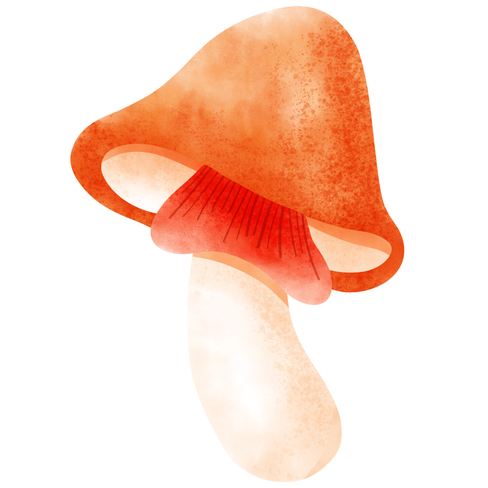 Mushroom, retro, groovy, cute mushroom png