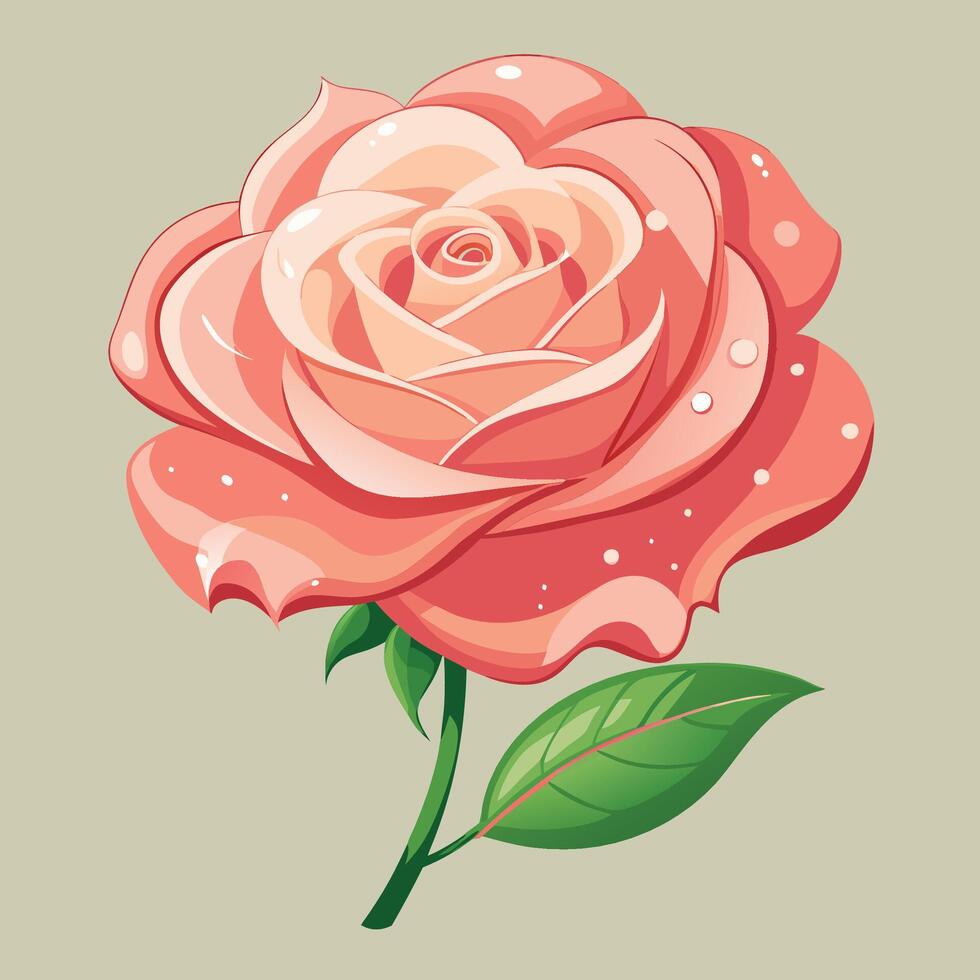 illustration of a pink rose with green leaves vector