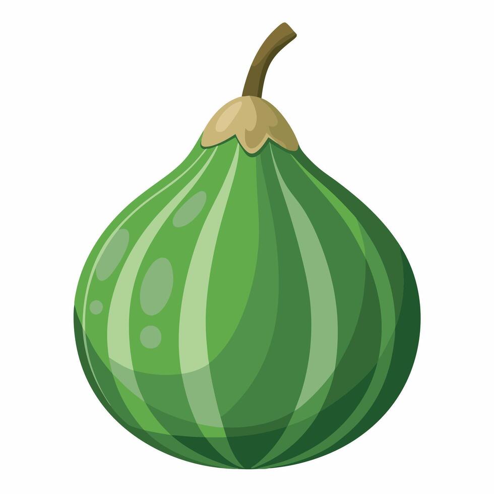An illustration of a green fig vector