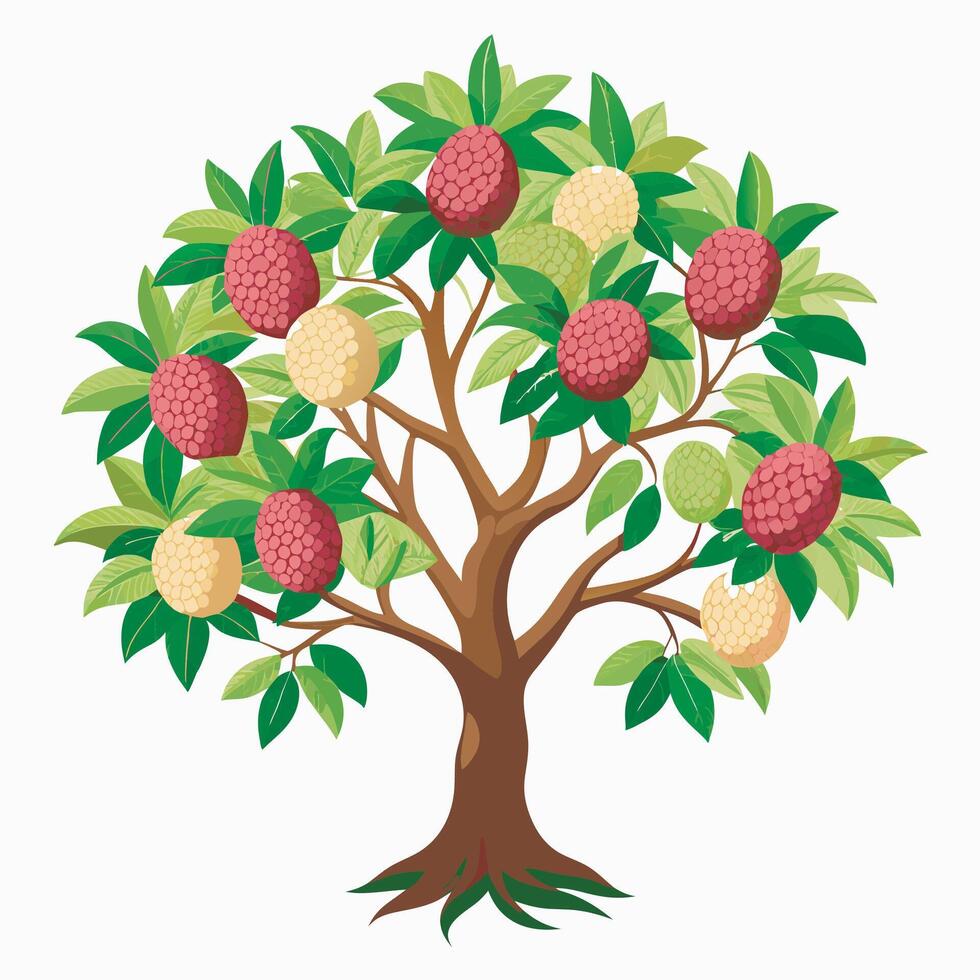 An illustration of a litchi tree vector