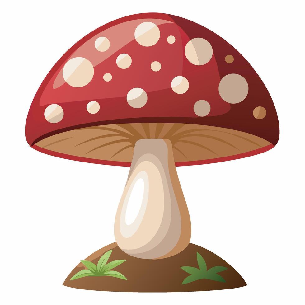 A cartoon mushroom with a white background vector