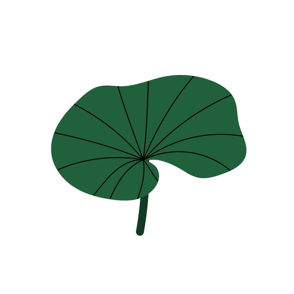 Illustration of green leaf of water lily. Rounded leaf of aquatic plant. Flat illustration for summer prints, backgrounds, environmental projects, social media. vector