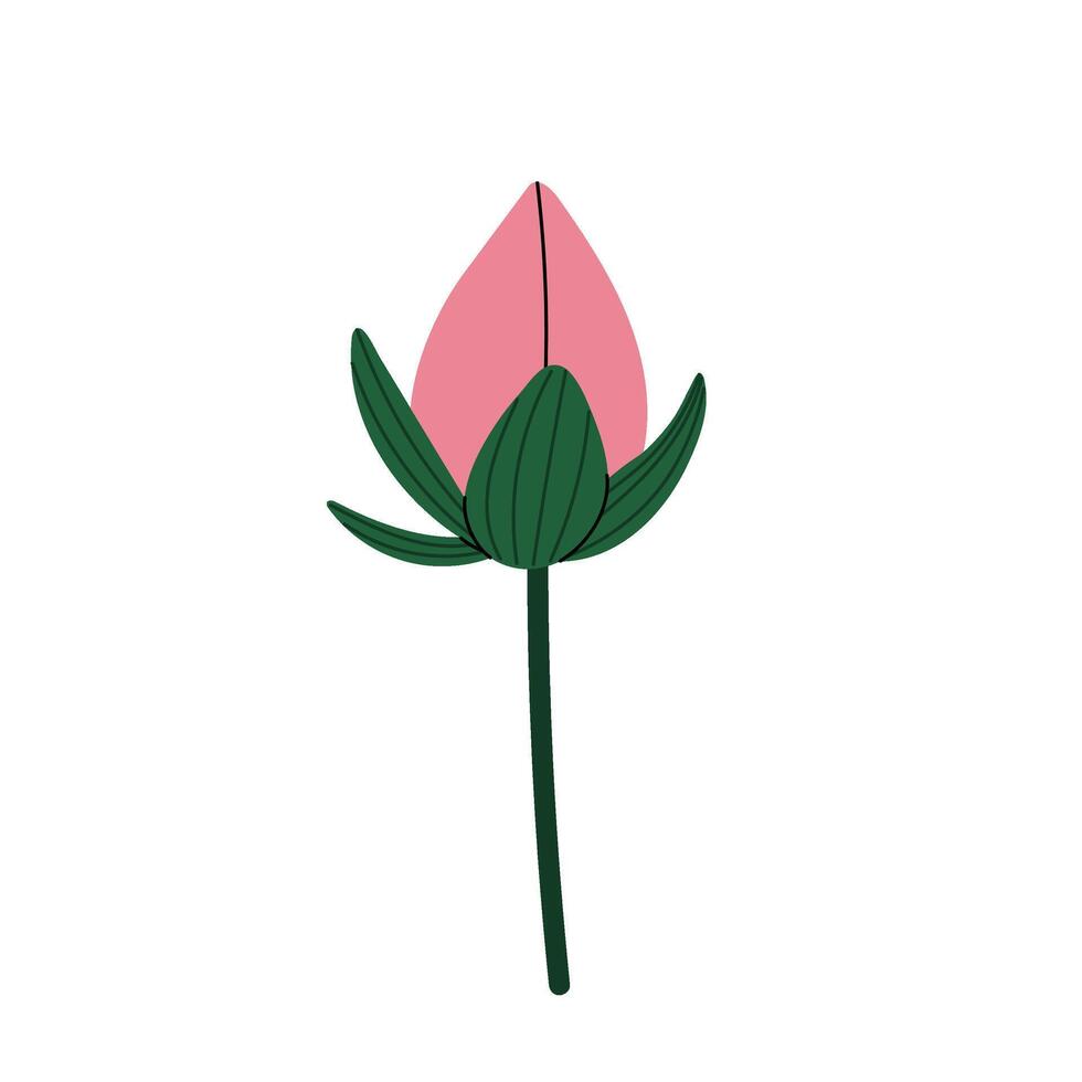 The closed bud of a lotus flower.. Pink water lily flower. Lotus icon for yoga, spa, massage, meditation. Illustration on white background. vector
