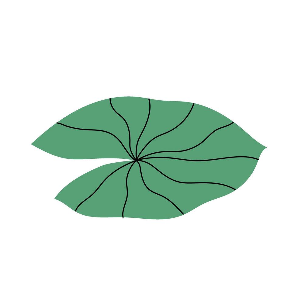 Green leaf water lily. Rounded leaf aquatic plant. Flat illustration on a white background. vector
