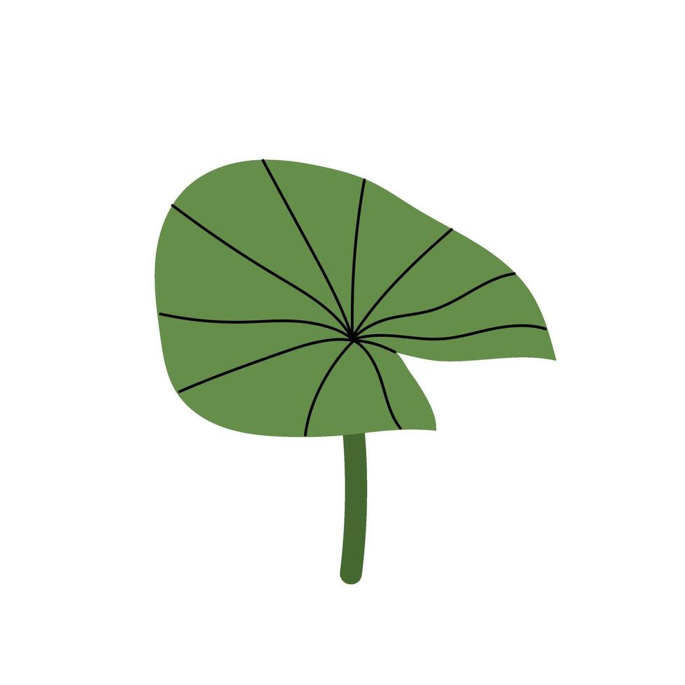 Green lotus or water lily leaf. River plant, pond, lake, swamp. Flat illustration on a white background. vector