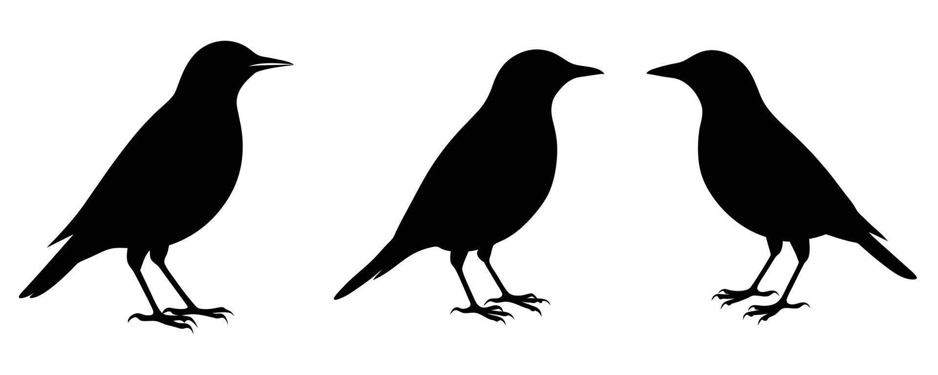 Starling Silhouette Bundle illustration vector