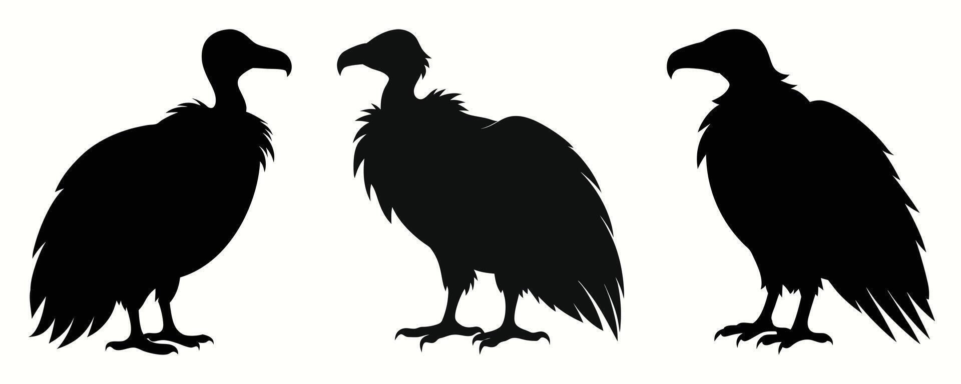 Vulture Silhouette Bundle illustration vector