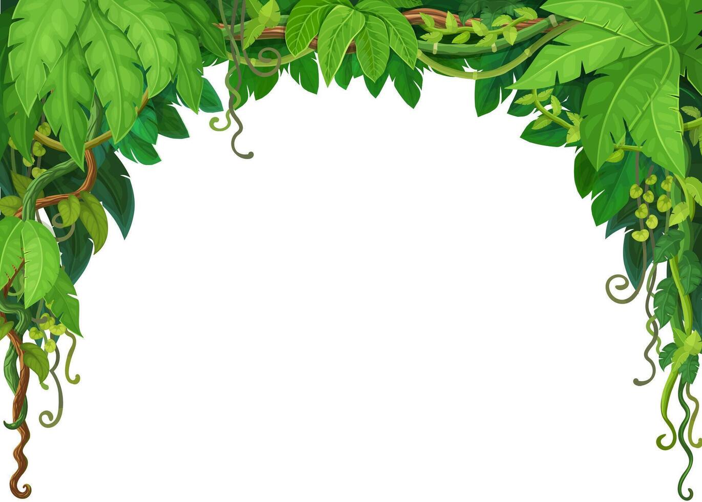 Tropical jungle forest liana vine branches frame vector