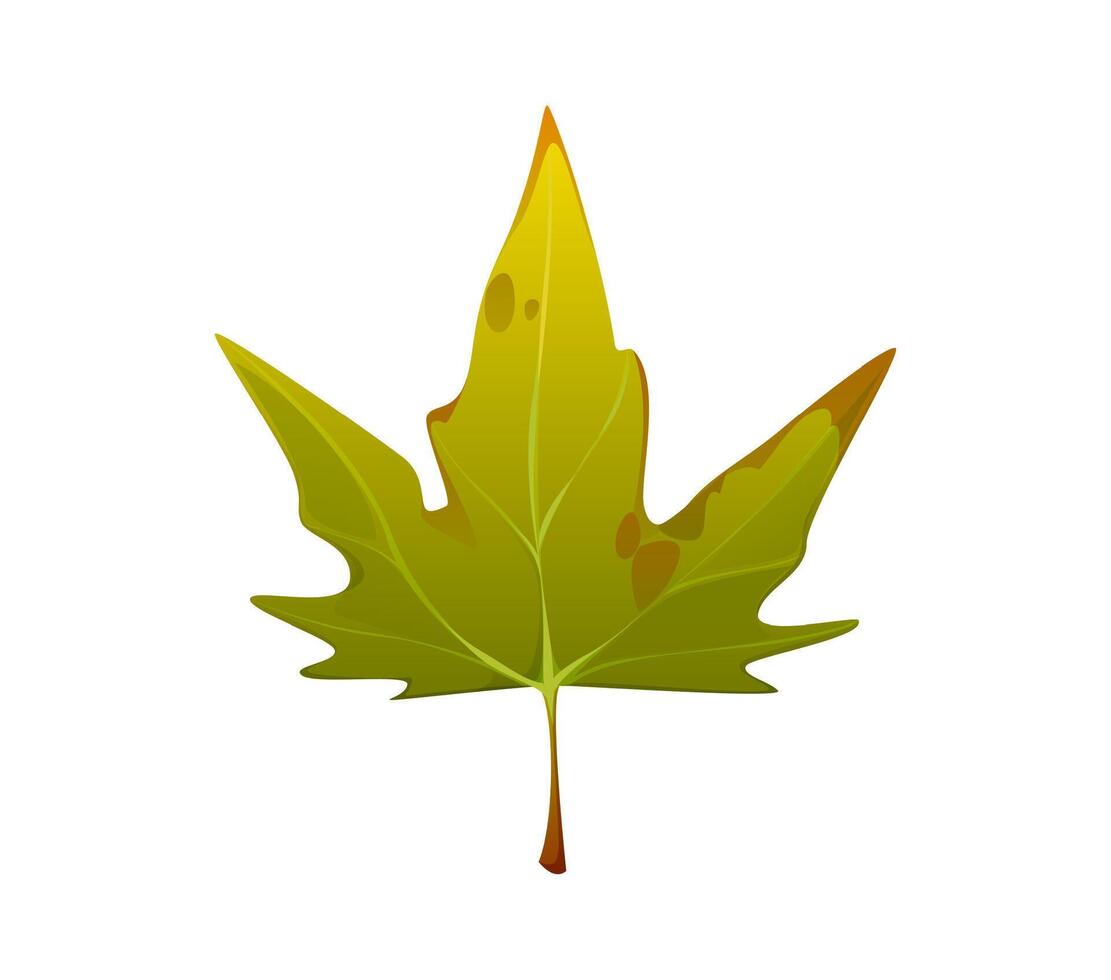 Cartoon autumn green maple leaf with brown spots vector