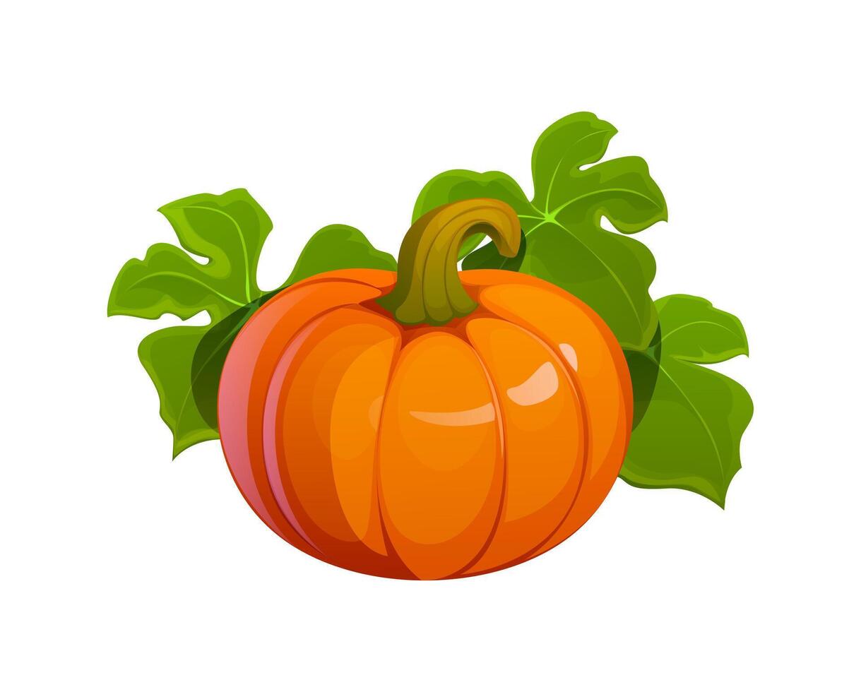 Cartoon autumn pumpkin with lush green leaves vector