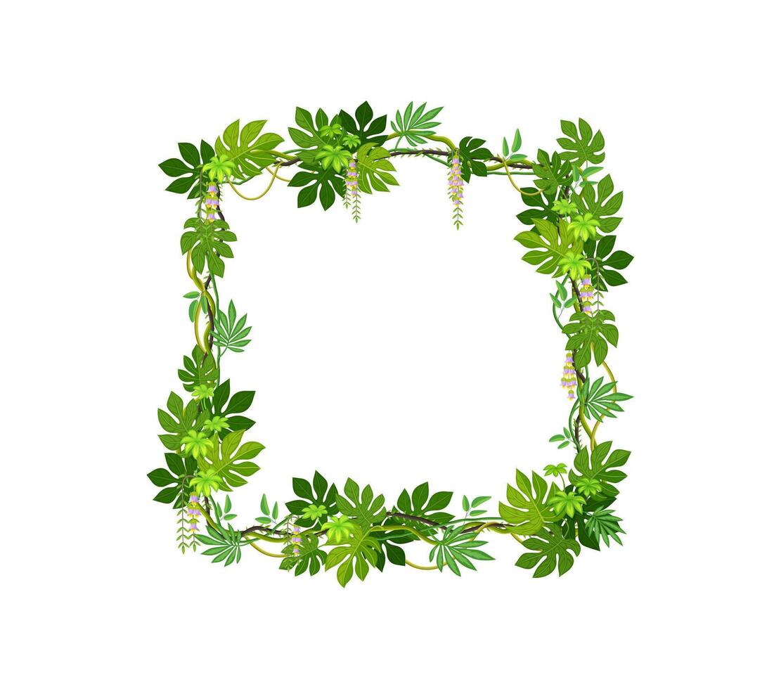 Tropical jungle square frame with liana and leaves vector