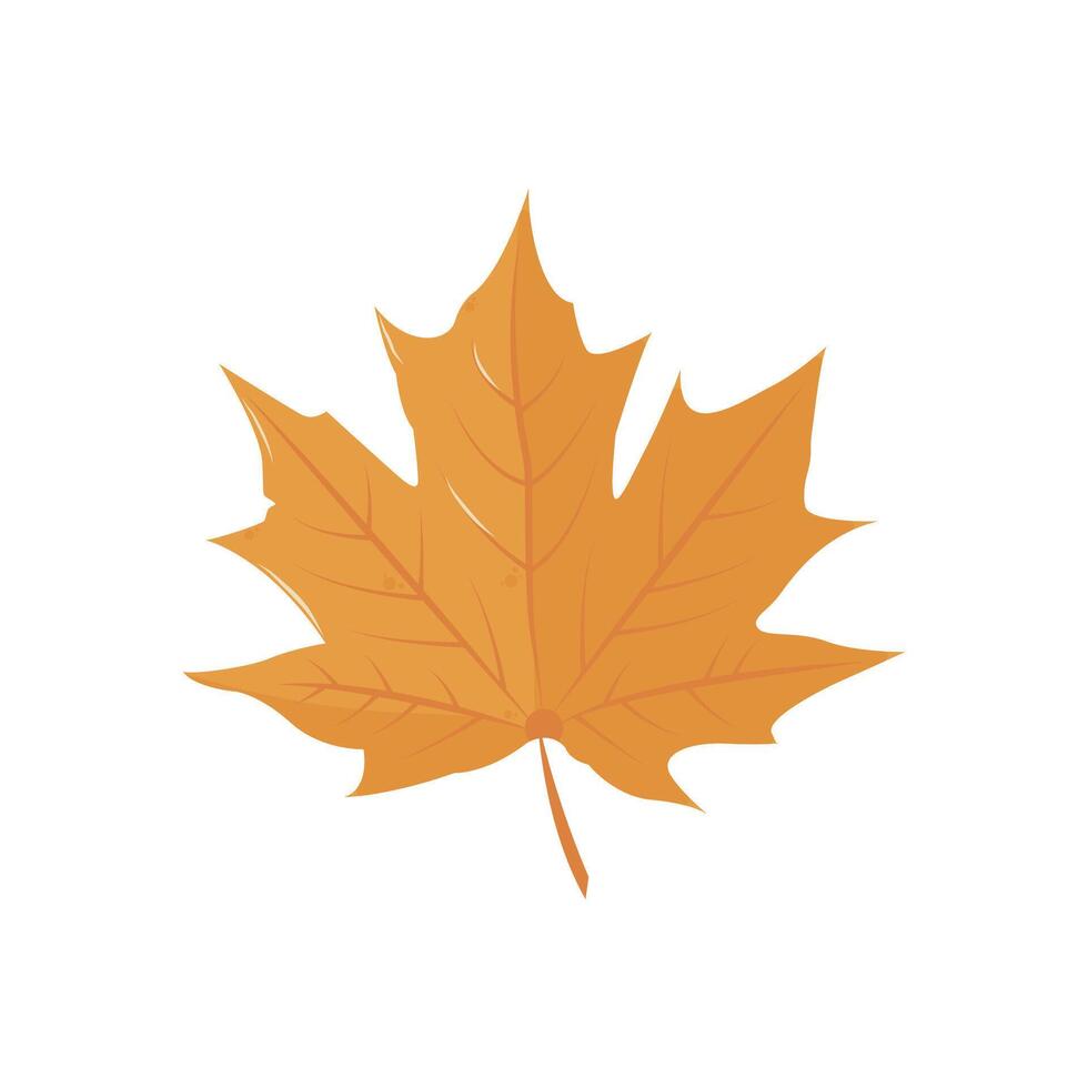 Cartoon maple leaf. Isolated illustration for card, postcard, cover. EPS 10 vector