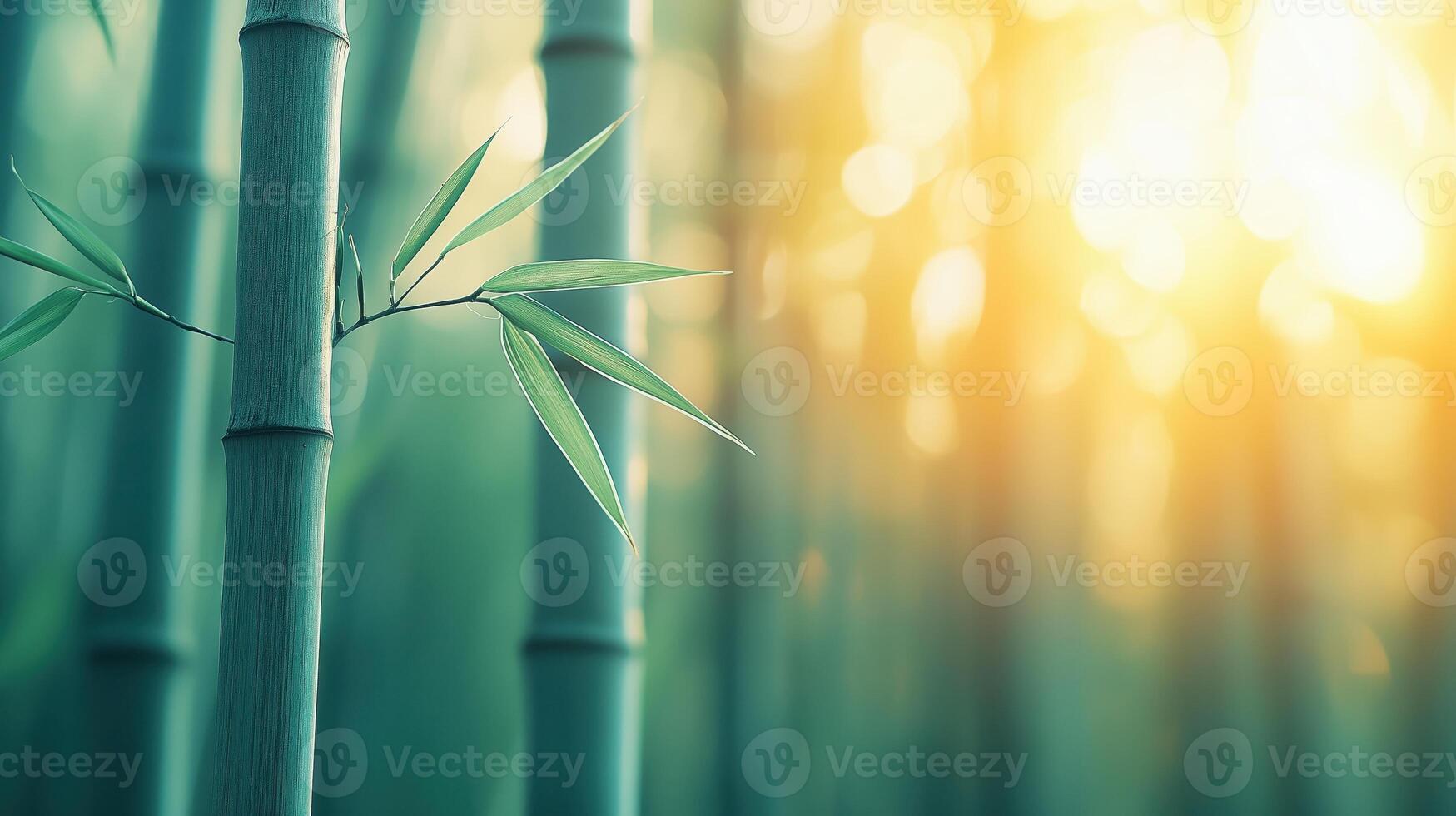 A serene bamboo forest with tall green stalks illuminated by soft sunlight, creating a tranquil atmosphere perfect for relaxation and meditation. photo