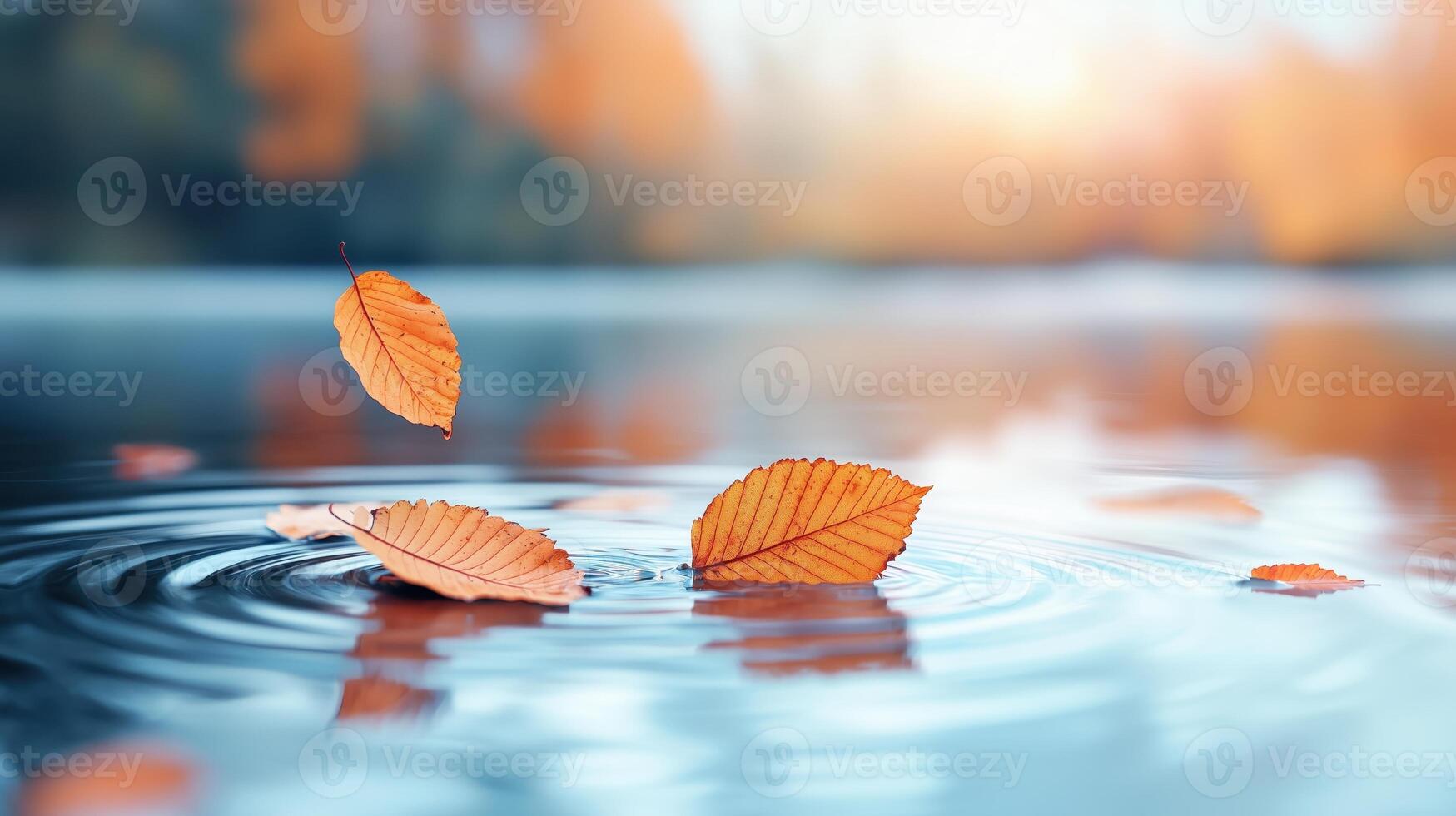 Beautiful autumn leaves floating on a serene water surface, creating gentle ripples. A tranquil moment captured in nature with warm seasonal tones and soft light. photo