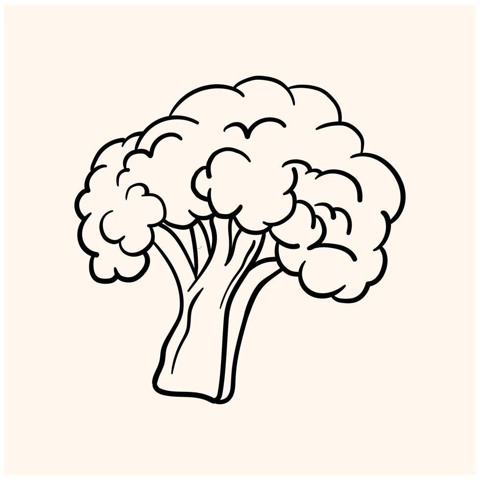 illustration of broccoli With illustration style doodle and line art vector