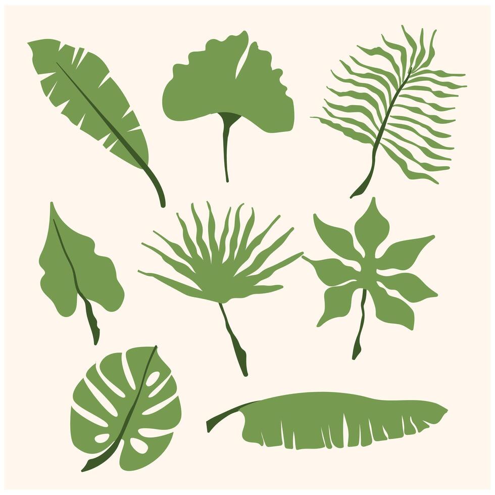 Hand drawn color branches of tropical plants leaves with background cream vector