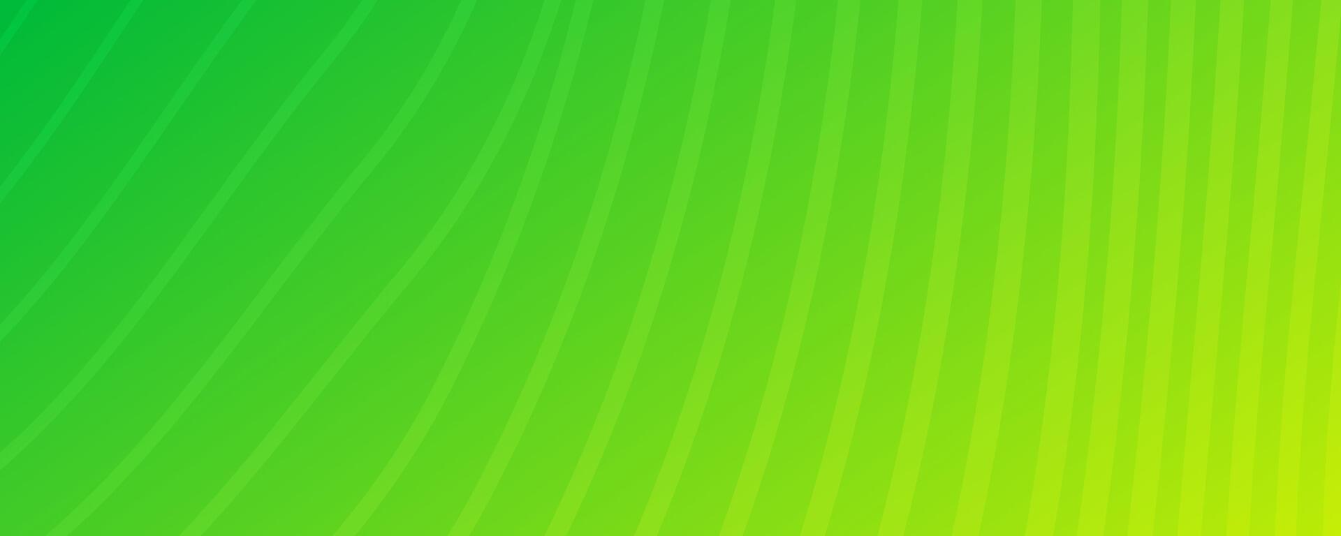 Modern colorful gradient background with wave lines vector