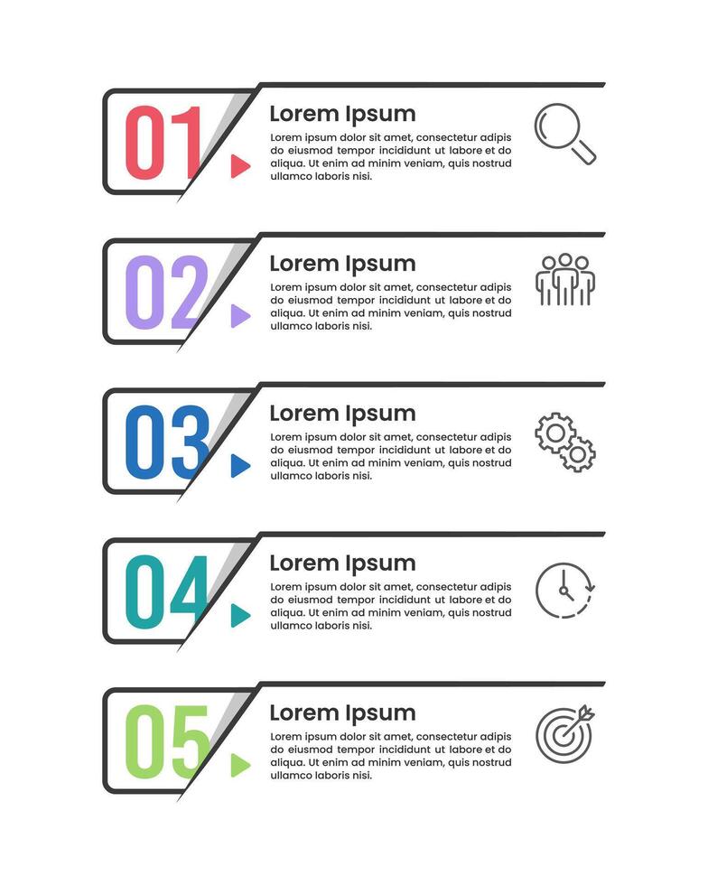 Vertical infographic number labels design. 5 Options to Success. Business presentation, Workflow, Brochure, Banner, Marketing and Strategy. vector
