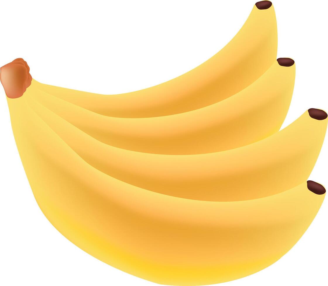 a bunch of bananas on a white background vector
