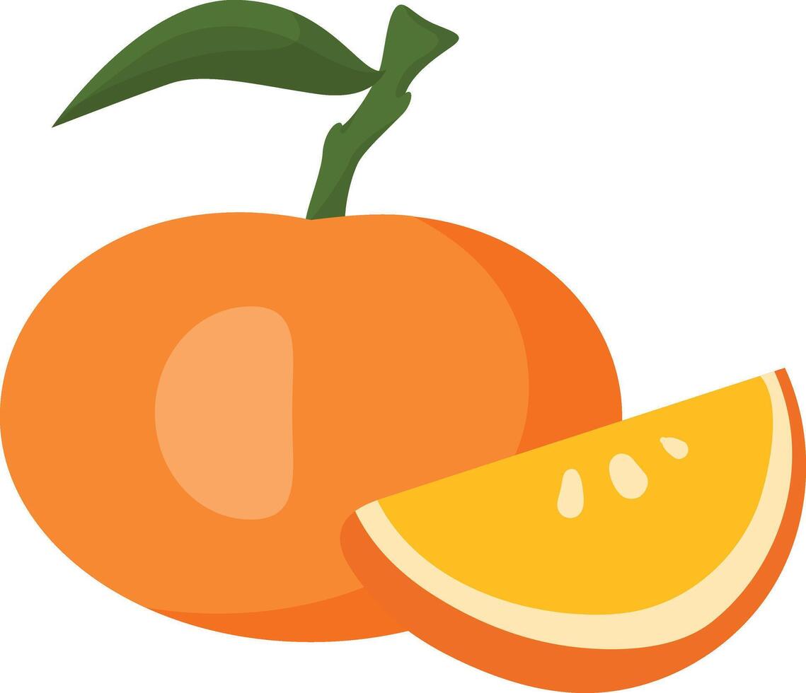 orange with slice clip art vector