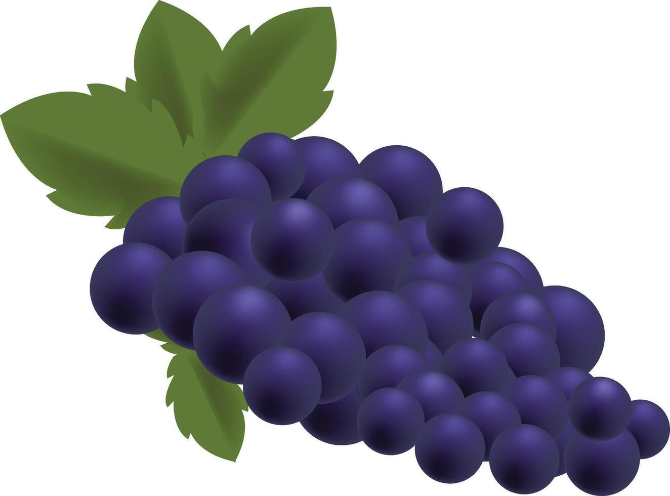 grapes clipart illustration clipart fruit vector