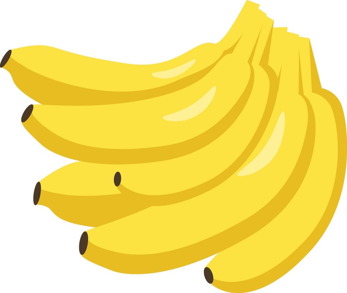 a bunch of bananas on a white background vector