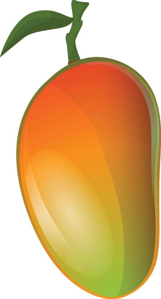 mango clip art illustration vector