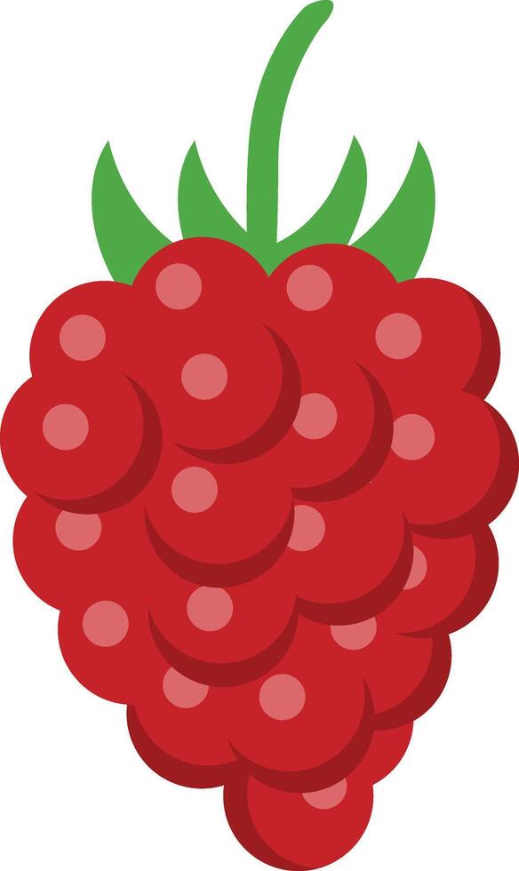 raspberry clip art illustration vector
