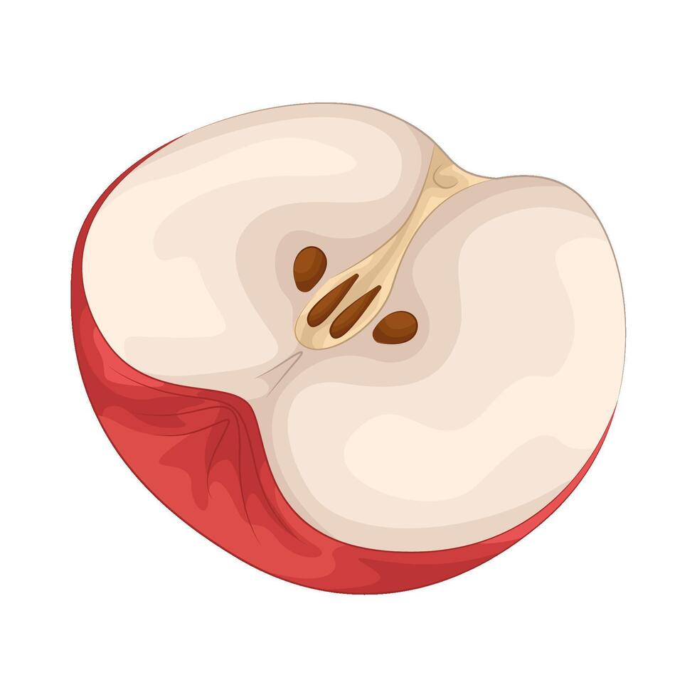 Illustration of half apple vector