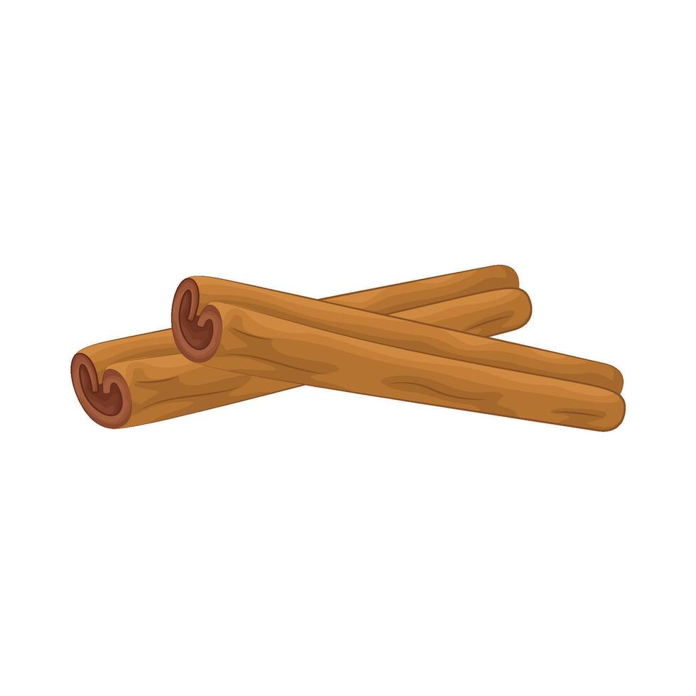 Illustration of cinnamon vector