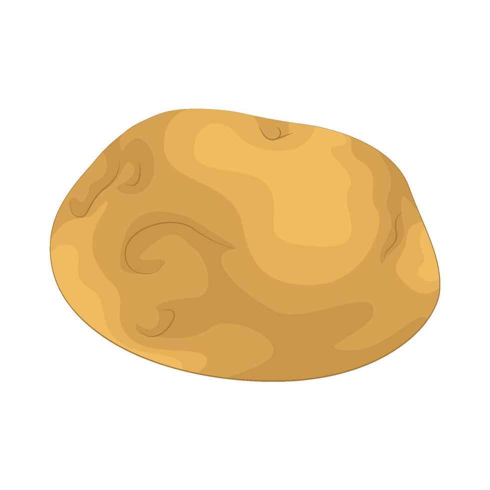 Illustration of potato vector