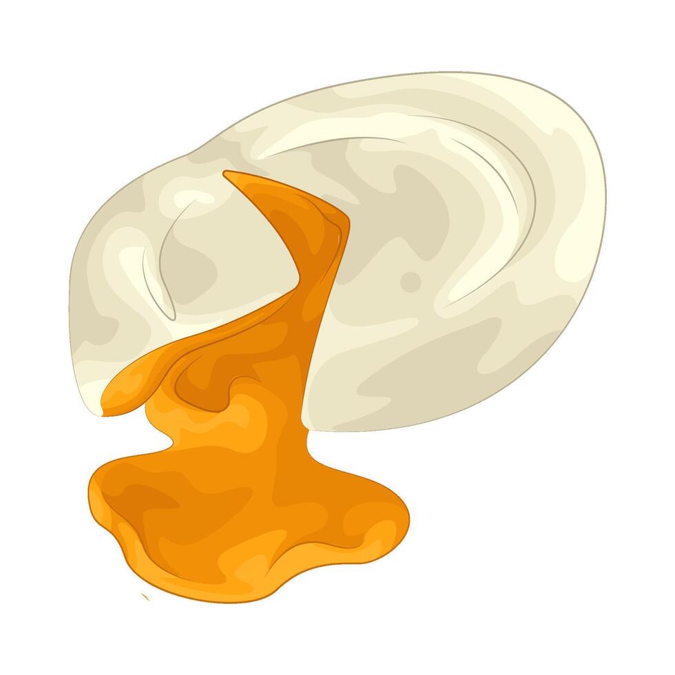 Illustration of boiled egg vector