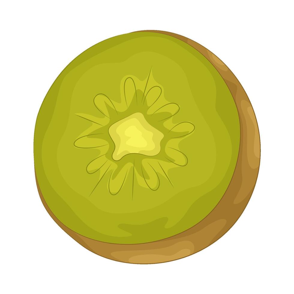 Illustration of half kiwi vector