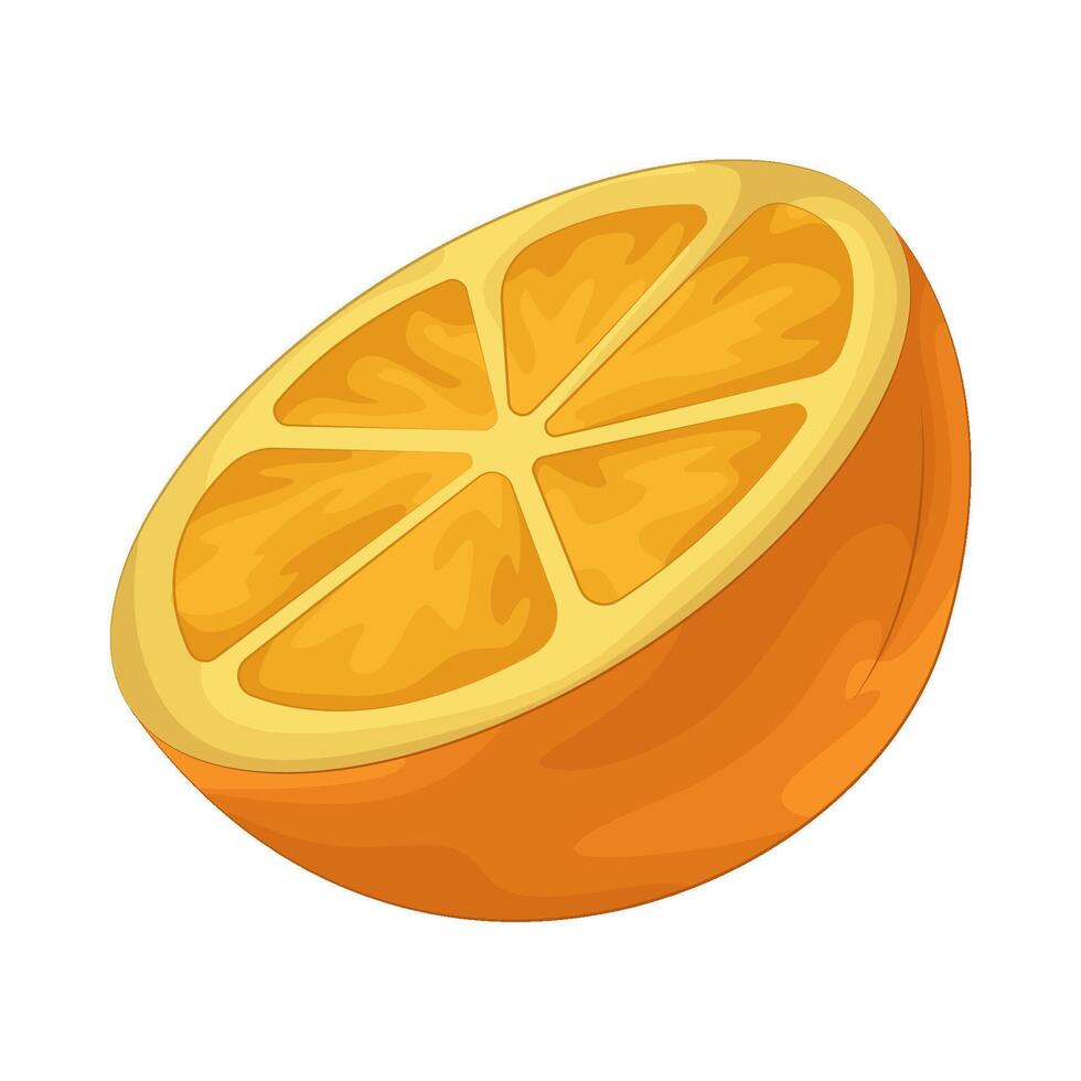 Illustration of half orange vector