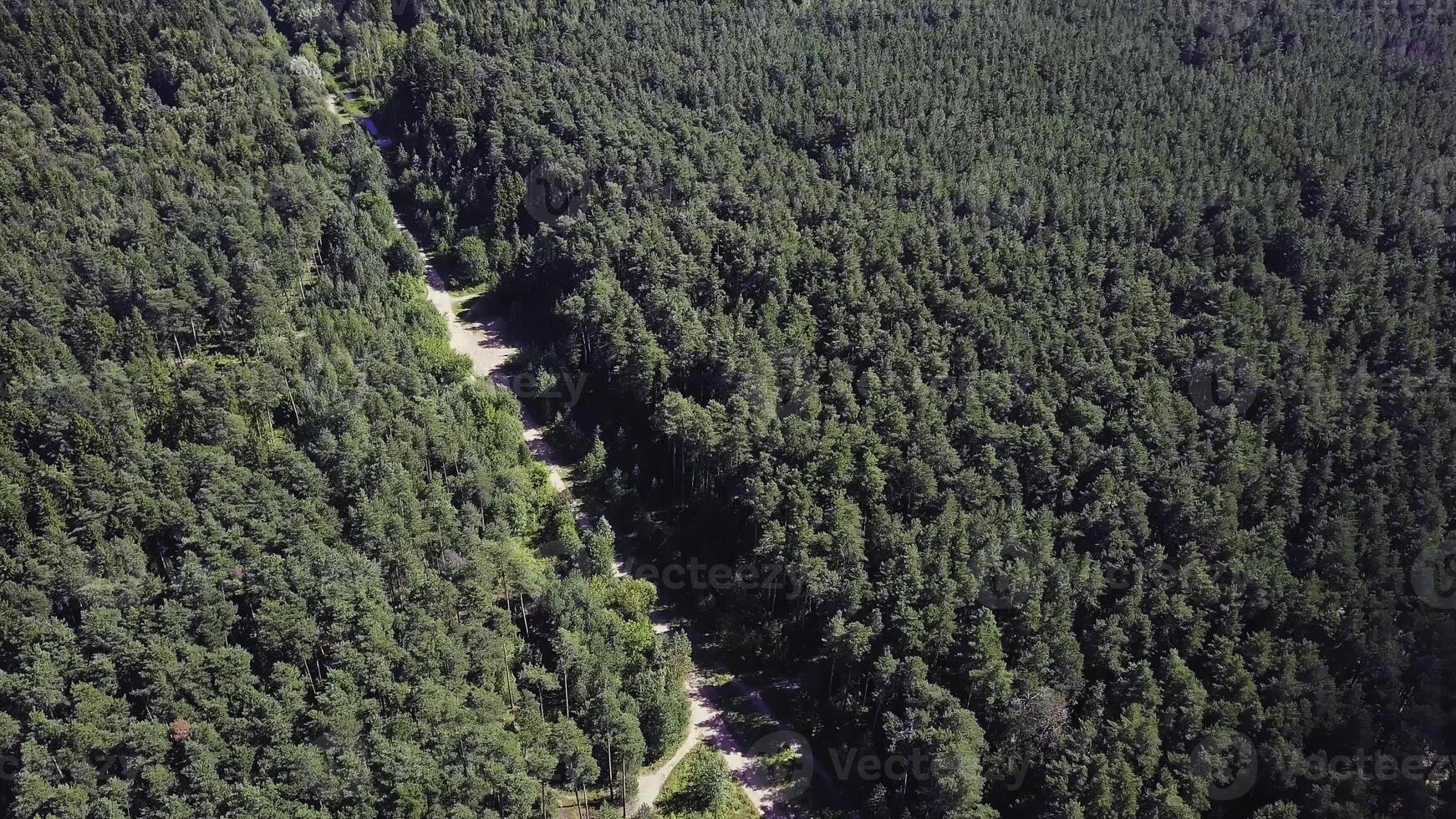 Aerial view of unlimited space of forest plain and cars which are riding on highway. Clip. Road in the autumn forest aerial view. aerial view over road between forests photo
