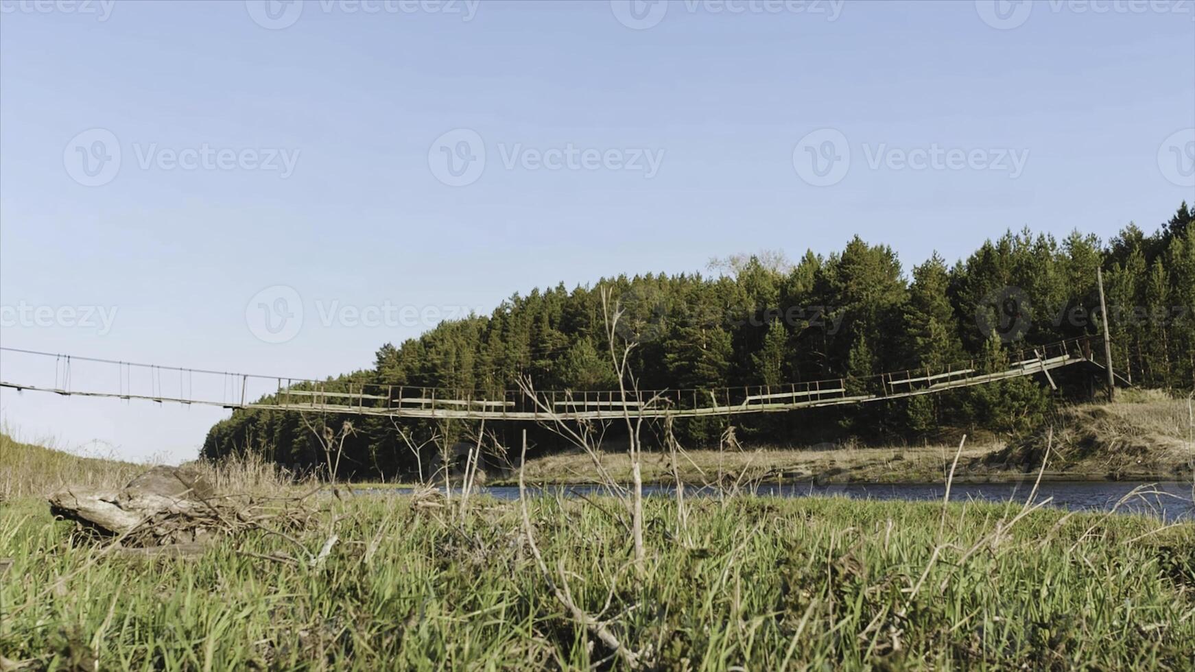 Wooden bridge and field. . A small wooden bridge over a creek. Grass, blue sky, reeds. A wooden bridge is made for crossing a rice field. photo