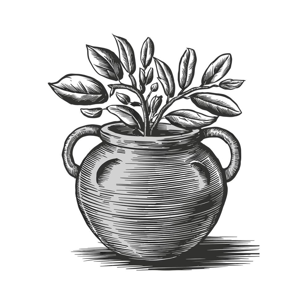 A drawing of a vase with plants inside vector