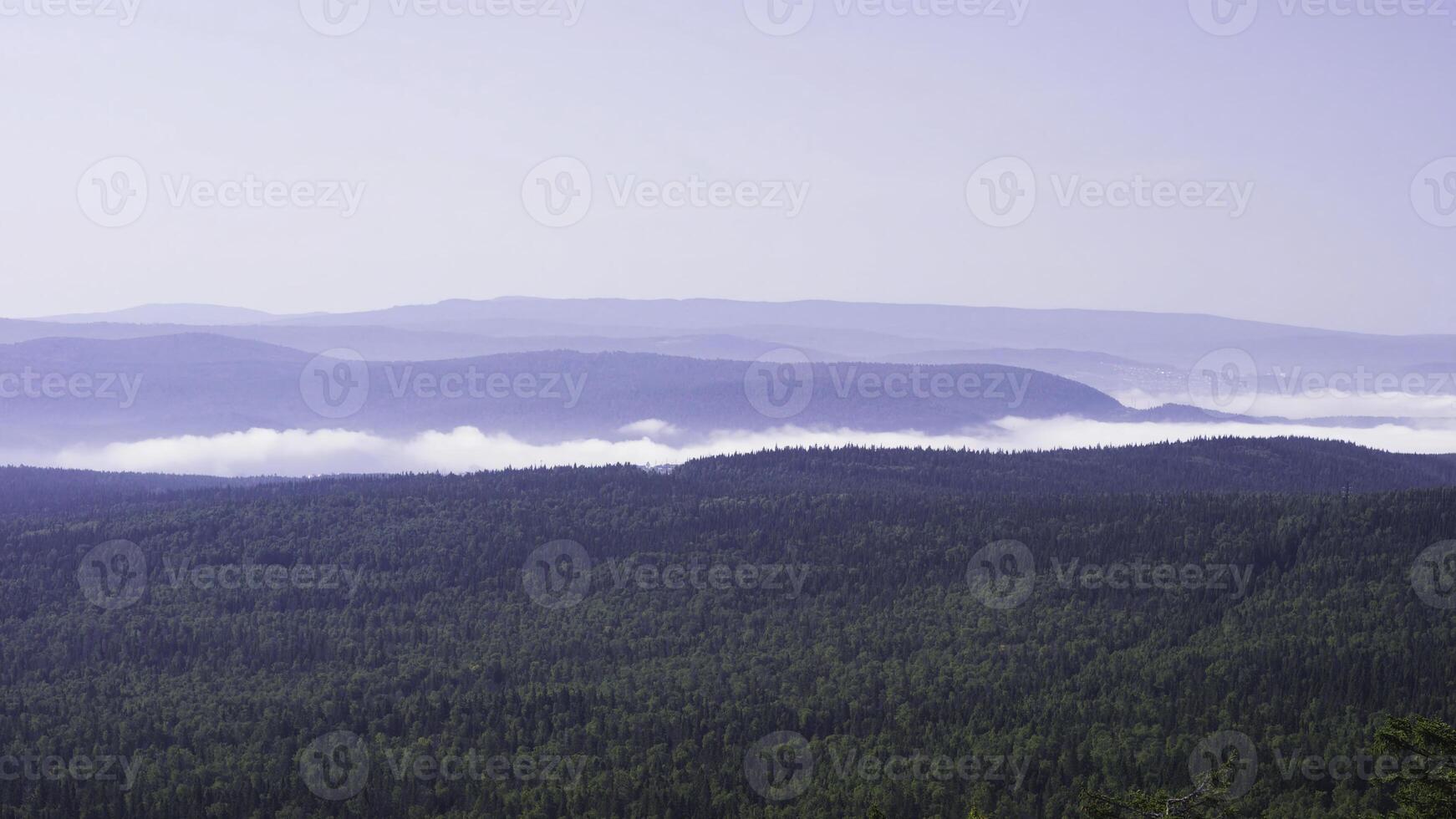 Majestic panorama of green mountains with sunny beams. Mountains in early morning mist. summer landscape. Fog from conifer forest surrounds the mountain top in sunset light photo