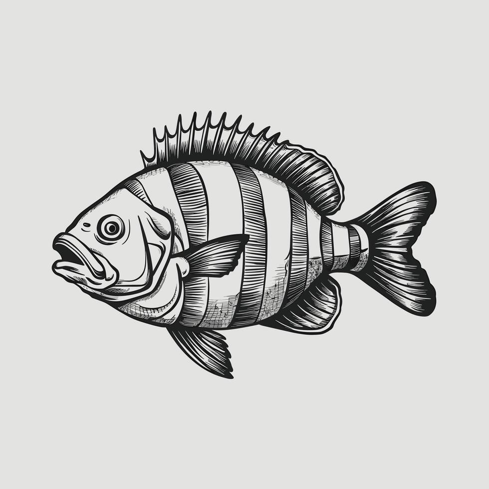 A fish in a black and white drawing vector