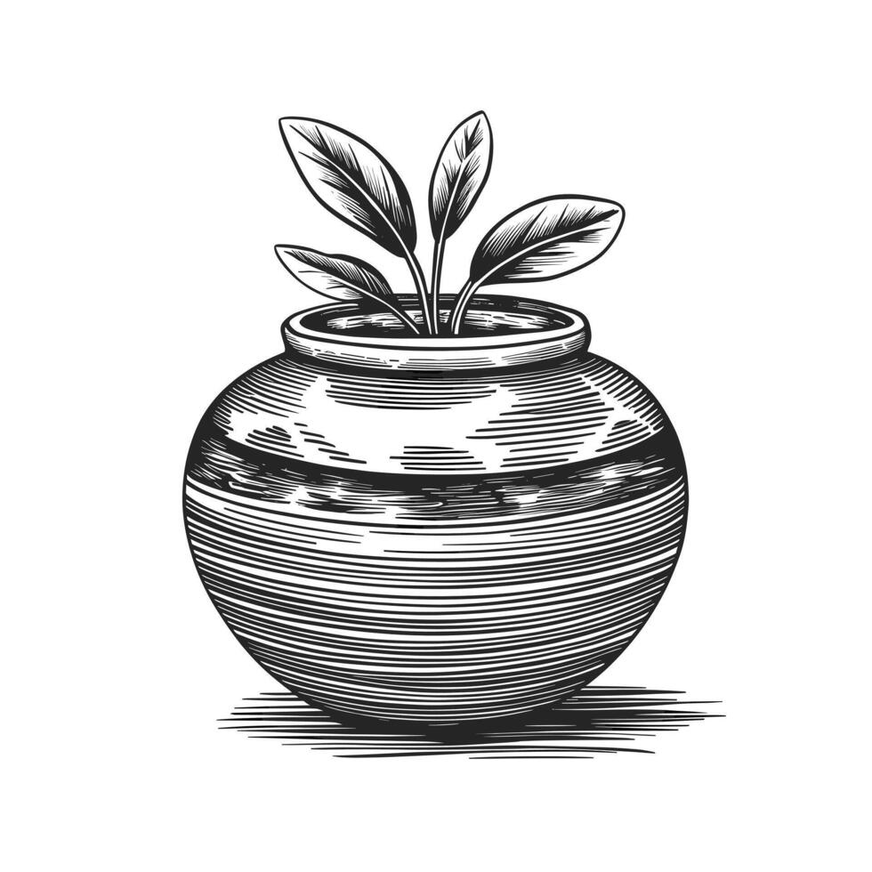 A drawing of a pot with a plant inside vector