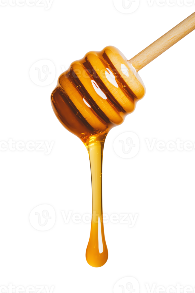 Honey dripping from a wooden stick png