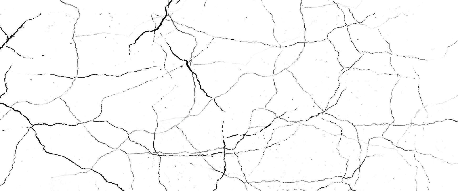 Texture soil dry crack background pattern vector