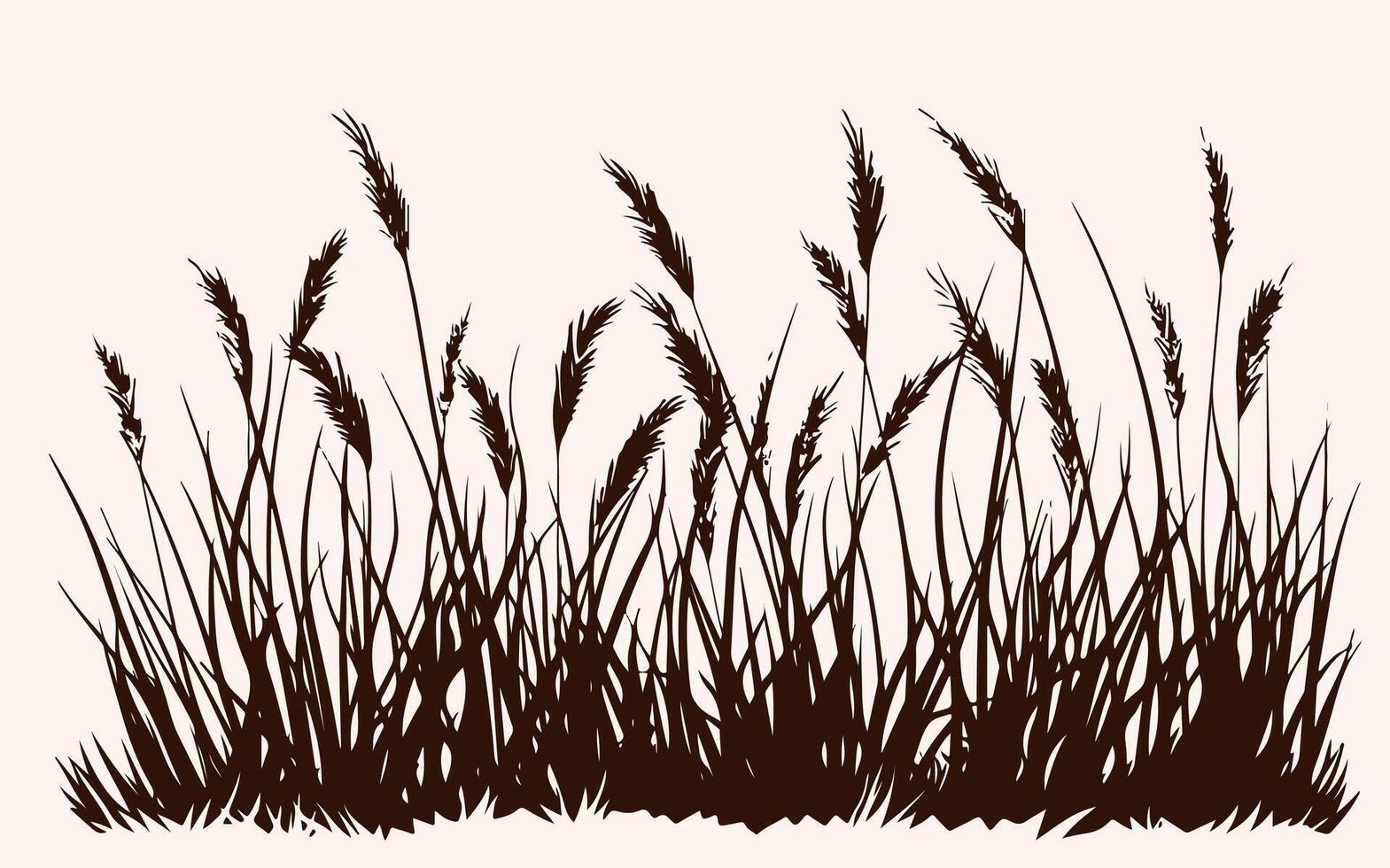 Silhouette of grass with tall reeds vector